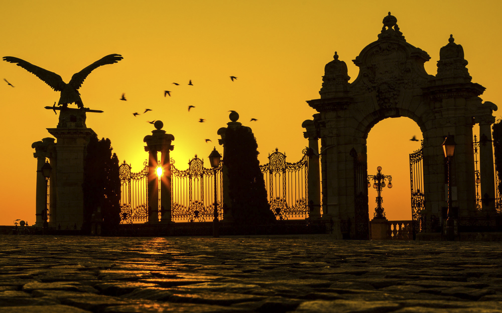 Platz 6 Willi Bitzer